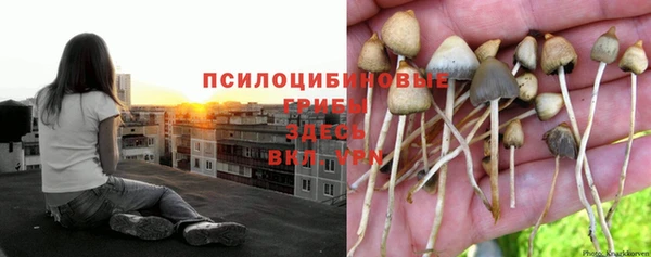 прущая мука Баксан