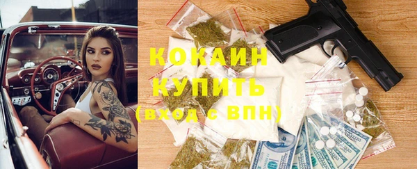 прущие грибы Протвино