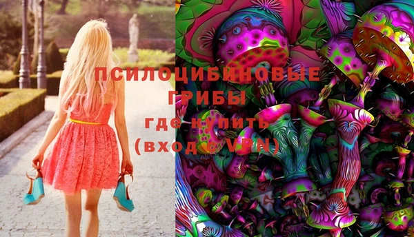 прущие грибы Протвино