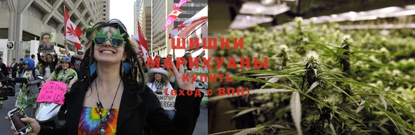 прущие крисы Балабаново