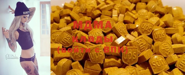 прущие грибы Протвино