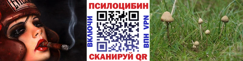 Галлюциногенные грибы Cubensis  Новомичуринск 
